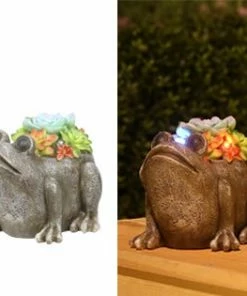 Assorted Alpine Solar Succulent Frog Garden Statue with LED Lights SLL2034SLR