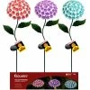 Alpine Assorted Solar Hydrangea Stake with LED Lights QLP616A-TM -Alpine Official Shop 076f167cca4e9d6a8387a59d1156dd62e8bf55f4 QLP616A TM