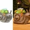 Assorted Alpine Solar Succulent Snail Garden Statue with LED Lights SLL2038SLR -Alpine Official Shop 08c378f08ea9735a810d2aaa385751ee2b5e7e52 1317150062 1317150062 image sll2038slr