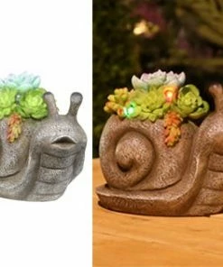 Assorted Alpine Solar Succulent Snail Garden Statue with LED Lights SLL2038SLR