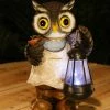 Assorted Alpine Solar Owl Holding Pot with LED Lantern SLL1358SLR -Alpine Official Shop 2b4d5e53f5b947a122159554ff69161cb100cb3f 1317150015 1317150015 image sll1358slr nv