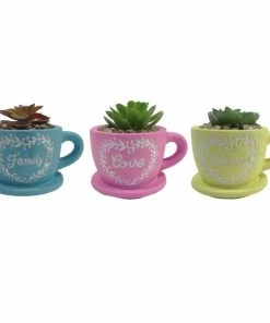 Alpine Colorful Teacup Flower Pot Planter - Assorted KGD326ABB - Decorative Planters