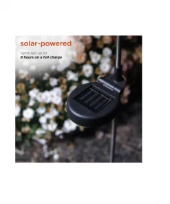 Alpine 16in Solar Pathway Lantern Garden Stake with LED Light, Set of 4 - SCC338SLR-4 - Outdoor Lights 5 Alpine 16in Solar Pathway Lantern Garden Stake with LED Light, Set of 4 - SCC338SLR-4 - Outdoor Lights -Alpine Official Shop 42480346e93297f939527dfee698ef9c08b57257 2022010092 3