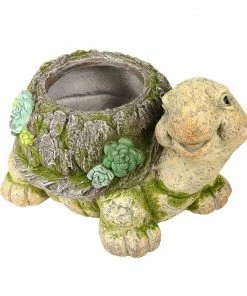 Alpine Tortoise Moss Planter - BEH166HH - Garden Accessories