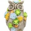 Assorted Alpine Solar Succulents Owl Statue LED Light SLL2018SLR