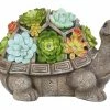 Assorted Alpine Solar Polyresin Turtle with Flower SLL1882SLR 2 Assorted Alpine Solar Polyresin Turtle with Flower SLL1882SLR -Alpine Official Shop 6e3b4652135f17f9d8c22a18a9ae5d570c2df413 13173513 13173513 image sll1882slr