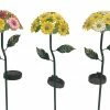 Assorted Alpine Solar Daisy Bouquet Stakes with LED Lights QLP1120ABB-S-TM - Garden Accessories 2 Assorted Alpine Solar Daisy Bouquet Stakes with LED Lights QLP1120ABB-S-TM - Garden Accessories -Alpine Official Shop 8c2c0a29c1f1b5773760f6470887b46c864a59fe 13173528 13173528 image qlp1120abb s tm