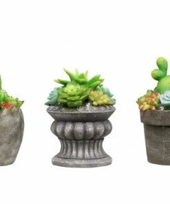 Alpine Assorted Solar Succulent Plant Décors SLL2040ABB - Garden Accessories