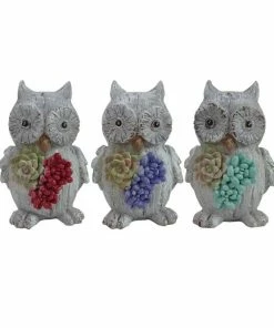 Alpine Succulent Floral Owl Statue - Assorted QWR1044ABB - Garden Accessories