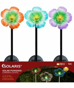 Alpine Assorted Solar Multi Color Spring Flowers RGG219BB-TM