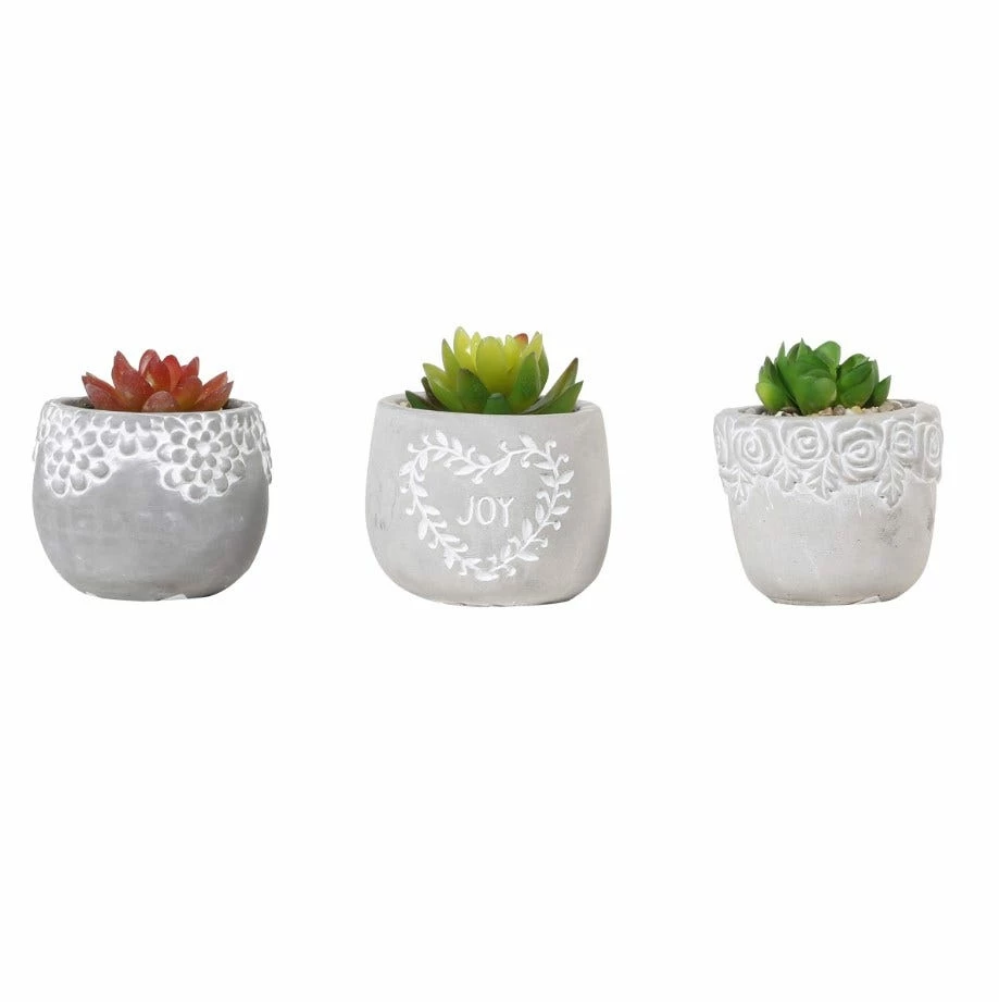 Alpine Succulent with Cement Pot Planter - Assorted KGD324ABB - Garden Accessories 3 Alpine Succulent with Cement Pot Planter - Assorted KGD324ABB - Garden Accessories