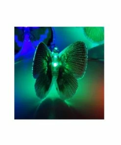 Alpine Official Shop -Alpine Official Shop c85174b52e1c4735f8f4ded685f8b7b181b9f8cb 1317150124 2