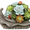 Assorted Alpine Solar Polyresin Snail with Flower SLL1880SLR