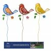 Alpine Assorted Garden Bird Metal Stake QEL420A - Garden Accessories 1 Alpine Assorted Garden Bird Metal Stake QEL420A - Garden Accessories -Alpine Official Shop f292619bb9e1e7b8042e66b23fc68a5d62247652 QEL420A Display